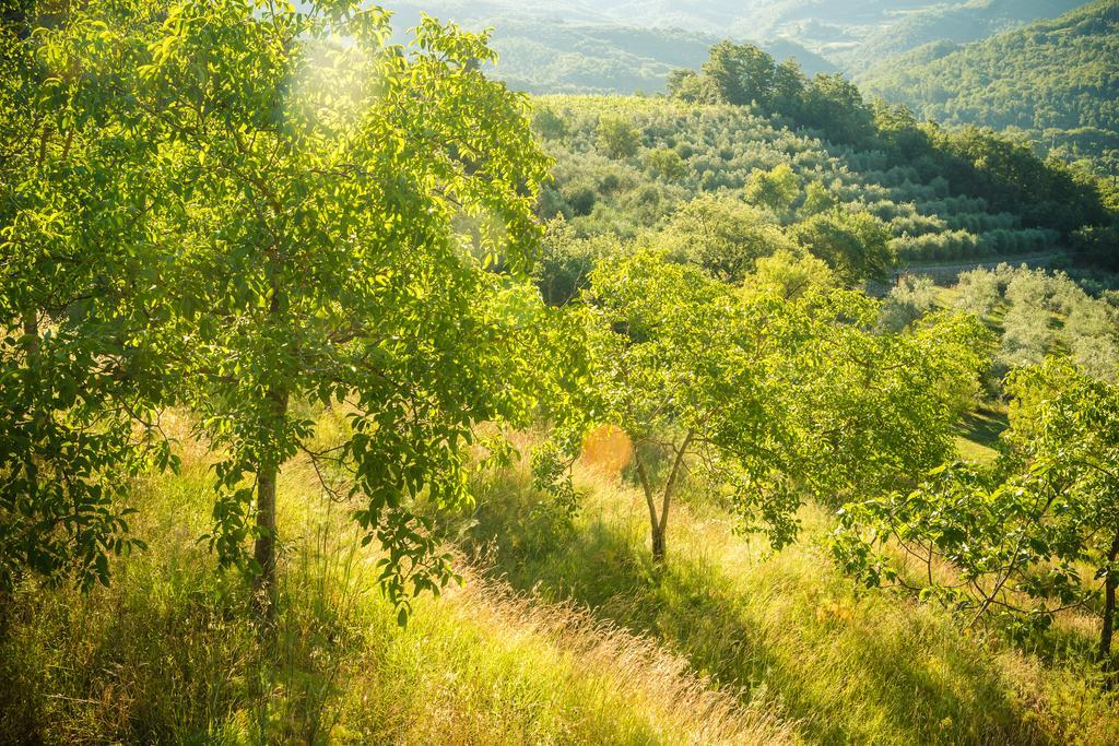 Podere Poggio Mendico Arezzo Exterior photo